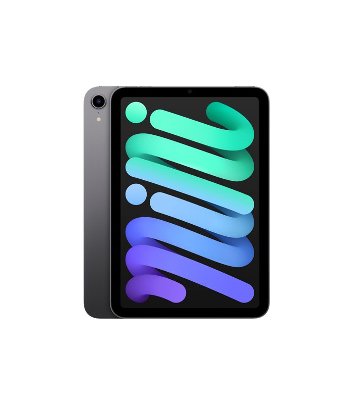 apple-ipad-mini-space-gray-1.jpg